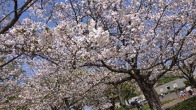 IMG_20190407_132150