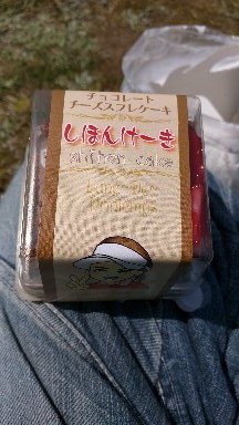 IMG_20190407_130944