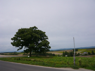 ペプシ・ナンバー・フィーバー:史上最も悲惨なプロモーション