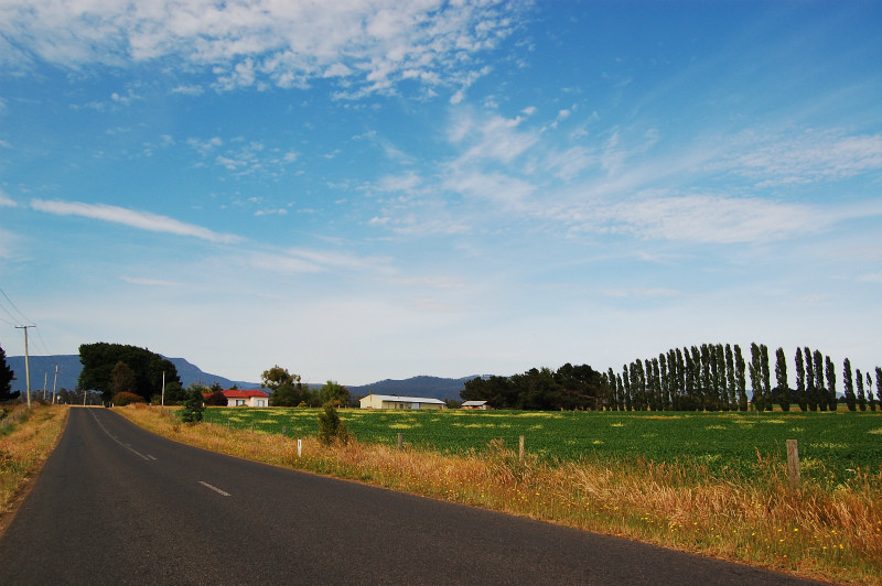 今日の怖い動物:オーストラリアの獰猛な漏斗蜘蛛