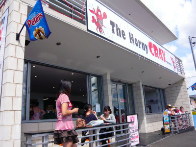 タスマニアデビル、3000年ぶりにオーストラリア大陸に帰還