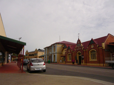 タスマニアデビル、3000年ぶりにオーストラリア大陸に帰還