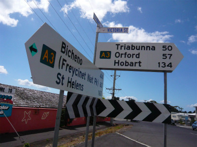 タスマニアデビル、3000年ぶりにオーストラリア大陸に帰還