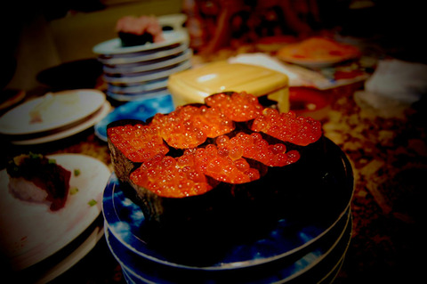 3 つの脱出戦術の例でタコの知性をチェック