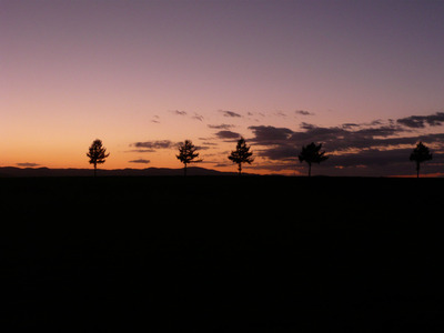ジャーナリストが死ぬ前に広めるために闘ったガンの兆候