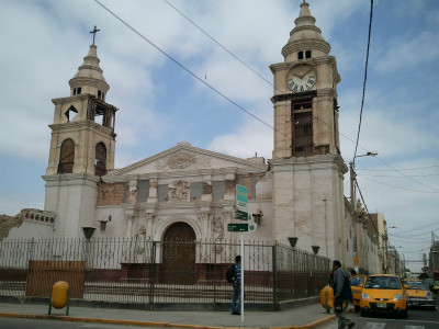 ペルー北部で新種のシカ発見