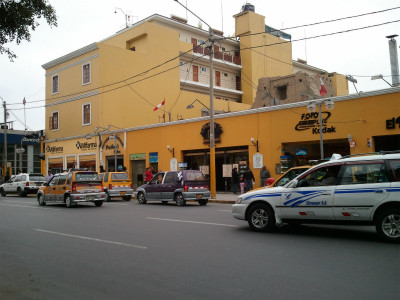 ペルー北部で新種のシカ発見