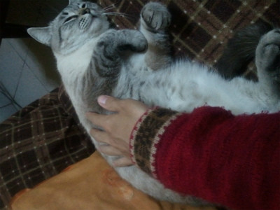 有名な写真家が最も気に入った写真を語る