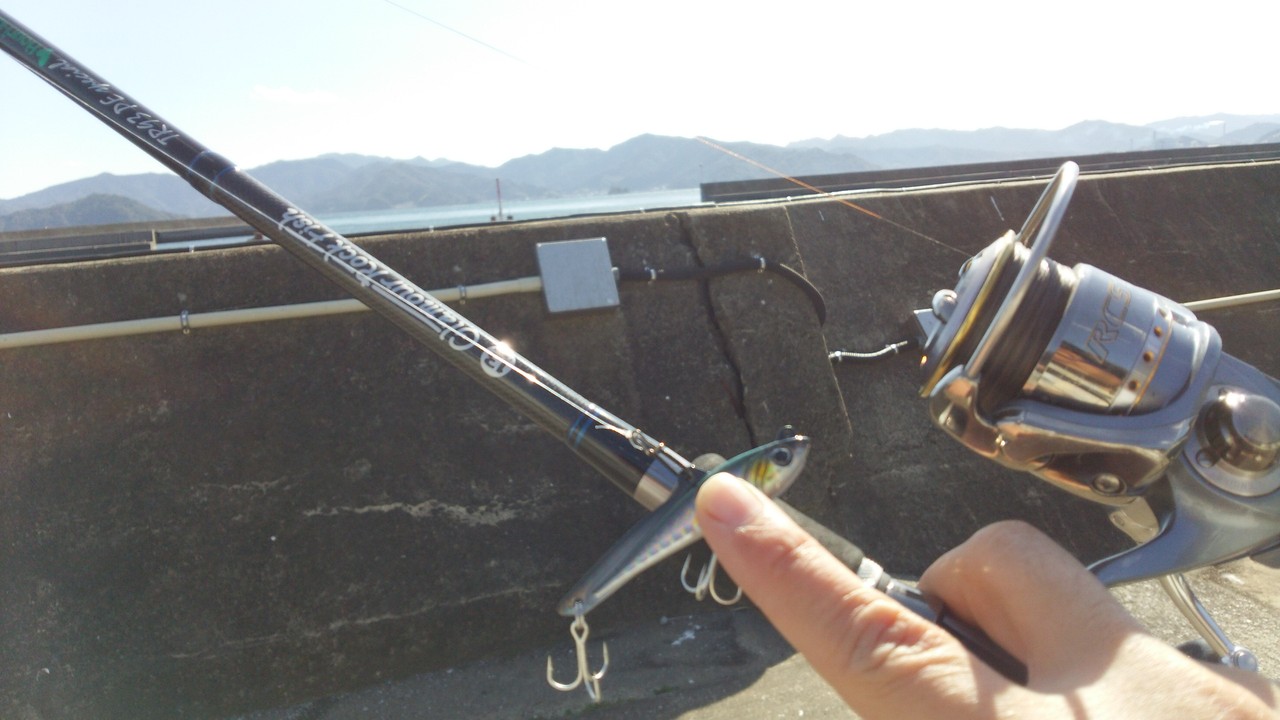 newrodでアジング そうせき釣行記 newrodでアジング そうせき釣行記
