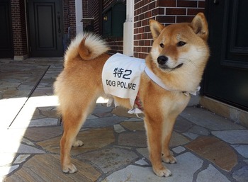 1899787_621424271269873_704479679_o