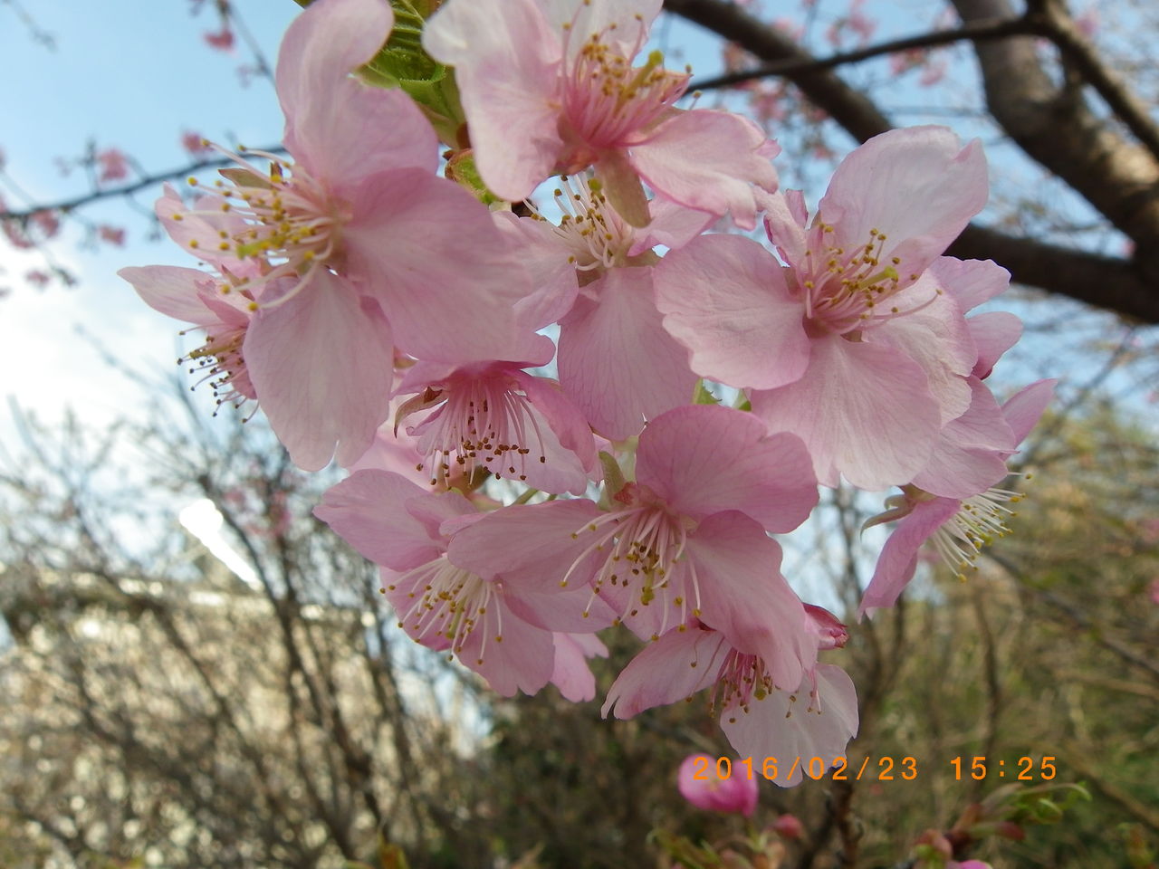 032 堤康次郎 百の才能も一つの執念には及ばない 032 堤康次郎 百の才能も一つの執念には及ばない