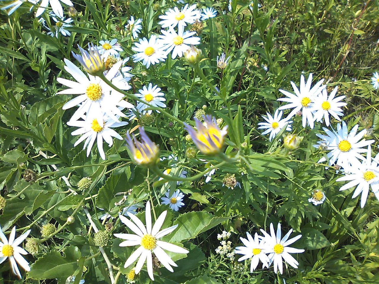 中国省 地級 市 行政区の地名と読み方 主な郵便番号 ボランティア 知ることばかり