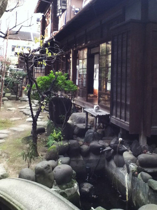 庭