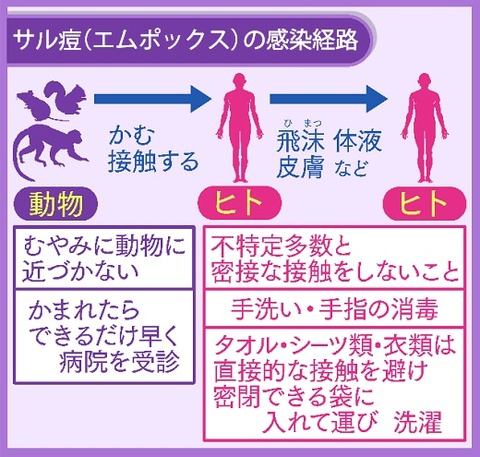 エムポックス(サル痘)感染拡大のリスク、国内初の死者を出した埼玉県での状況報告 : 肥満と健康それから美容の情報室