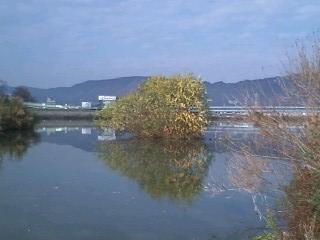 ���ʤ���