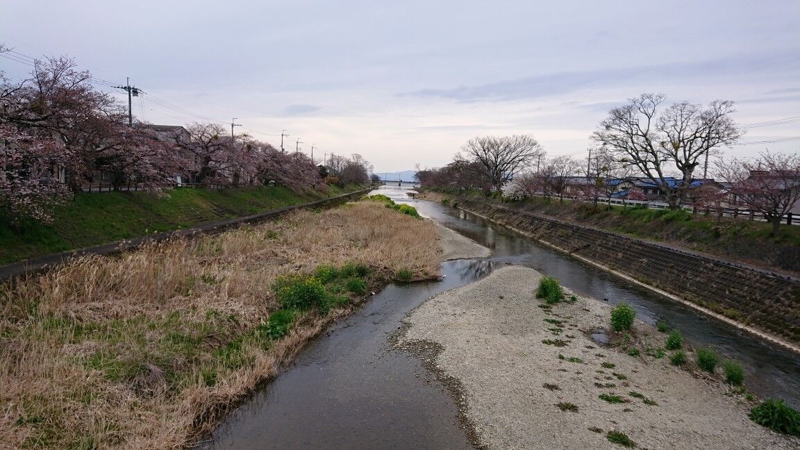 DSC_3474_copy_1152x648