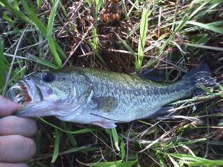 ����cm����