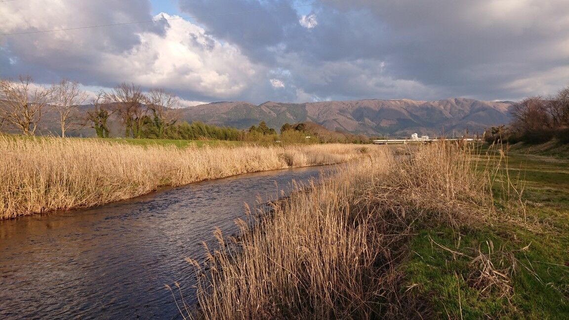 DSC_3470_copy_600x360