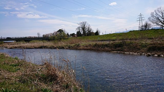 ��줽����