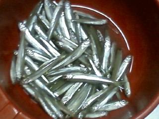 ����Ǥ�����