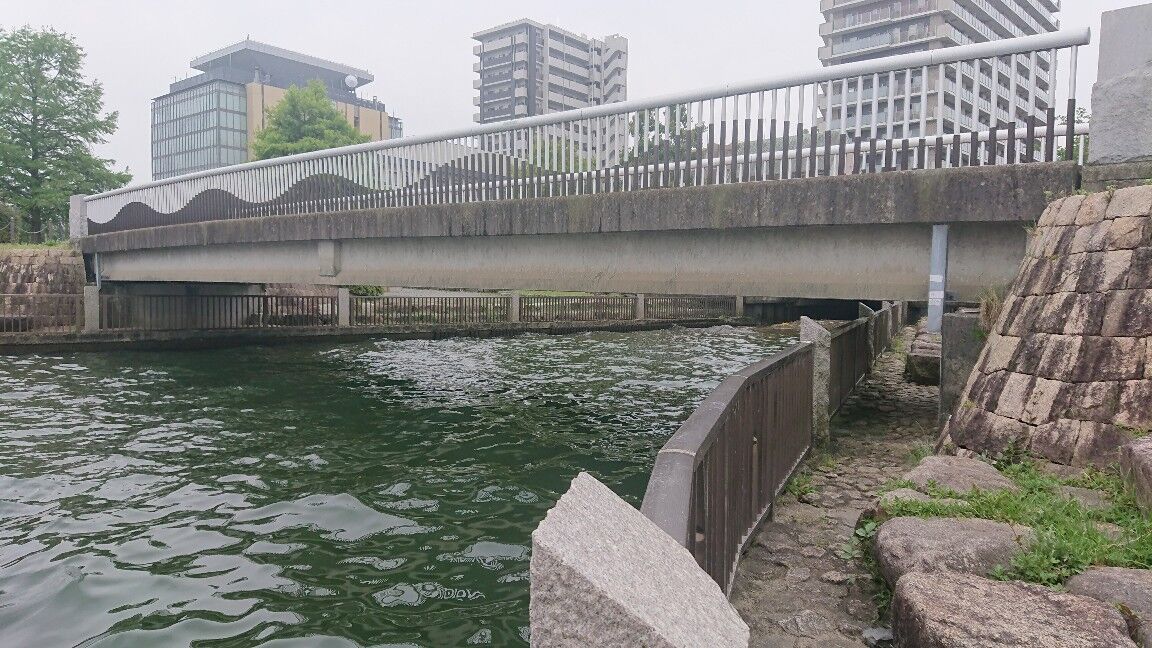 DSC_3491_copy_1152x648