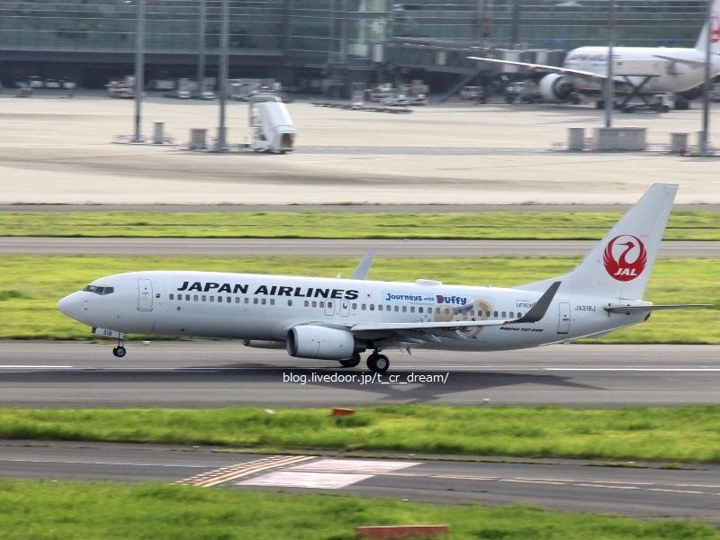 JALのダッフィー機 『ハッピージャーニーエクスプレス』 : お父さん