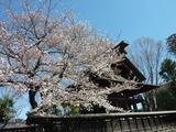140331-105506_dmctz7