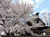140404-135206_dmctz7