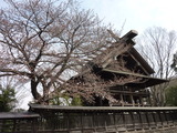 140329-092334_dmctz7
