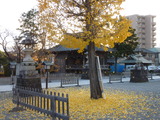131207-153854_dmctz7