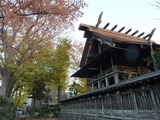 131121-160946_dmctz7