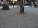 131215-163916_dmctz7