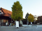 131121-160800_dmctz7