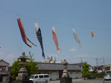 140423-114544_dmctz7