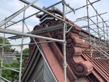 IMG_0555