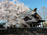 140406-161228_dmctz7