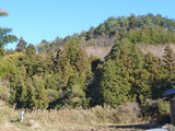 131222-090052_dmcft3