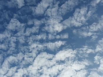 IMG_20210506_170347