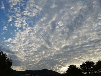 IMG_20210406_063708