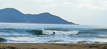 IMG_20201129_091030