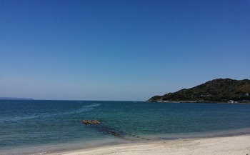 IMG_20210420_113428