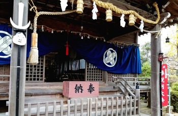 IMG_20211124_095633