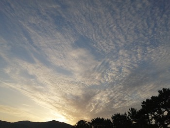 IMG_20210421_060922
