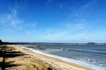 IMG_20210303_100807
