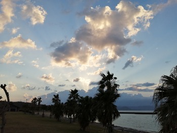 IMG_20210222_072522