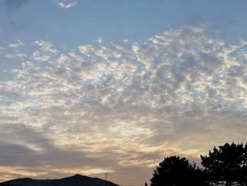 IMG_20210402_064427