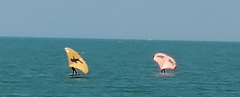 IMG_20210407_124229