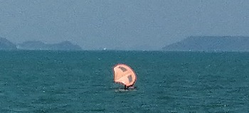 IMG_20210407_120628