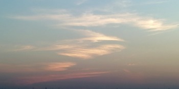 IMG_20210407_184704