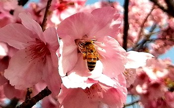 IMG_20210326_073549